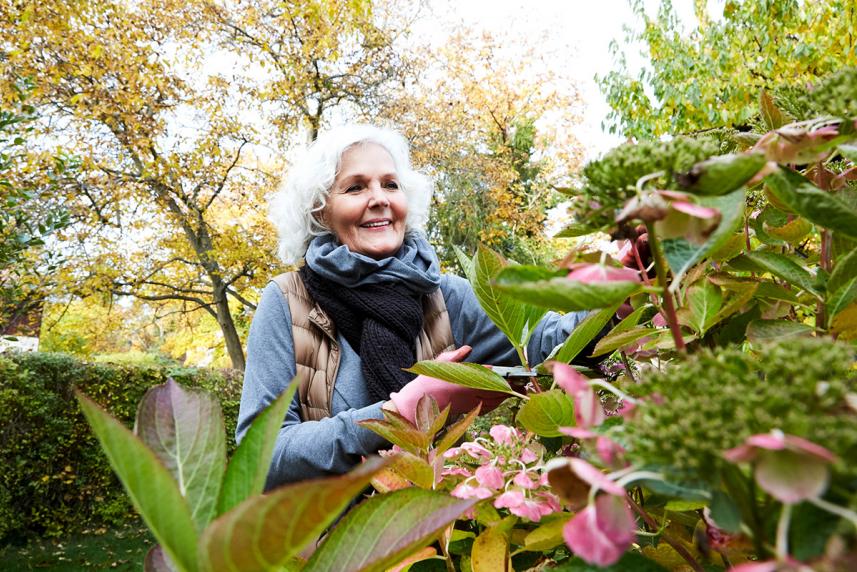 A senior in a garden in spring