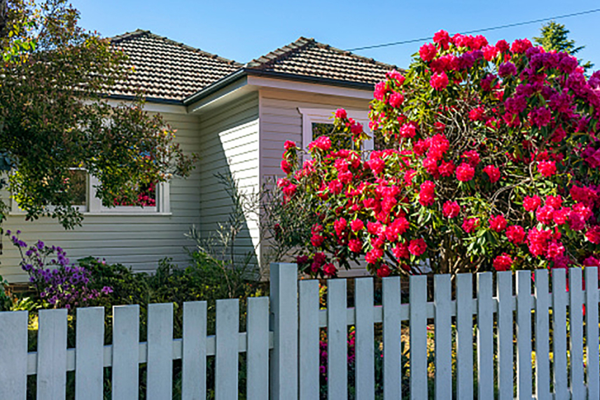The outside of a house with a white fence and pink and purple flowers.