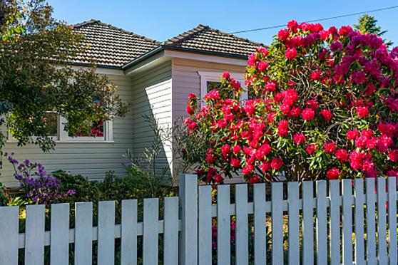 The outside of a house with a white fence and pink and purple flowers.